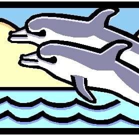 Ballina Dolphins