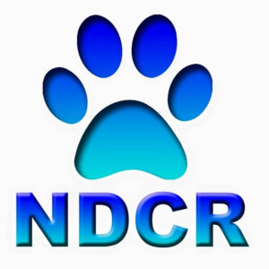 North Dublin Cat Rescue