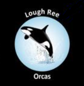 Lough Ree Orcas